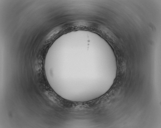 X0000112370824200908131515