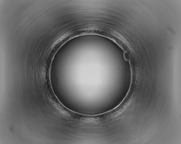 X0000112370826200908131515