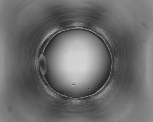 X0000112370827200908131515