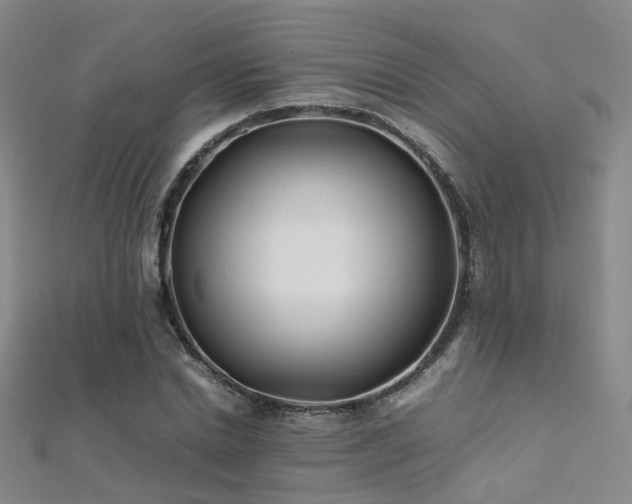 X0000112370830200908131515