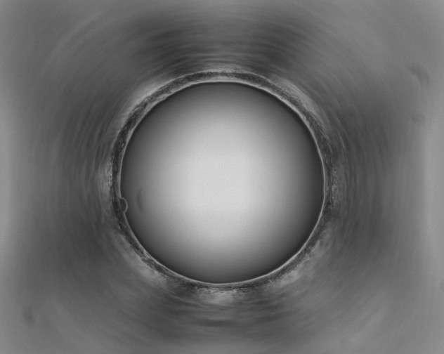 X0000112370831200908131515