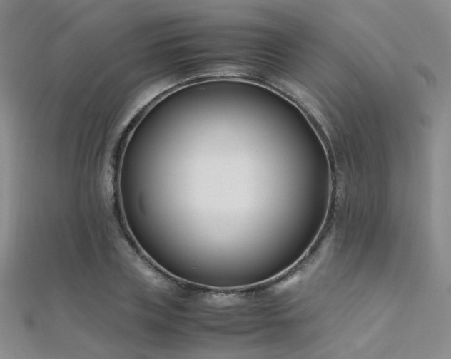 X0000112370835200908131515