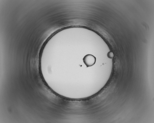 X0000112370836200908131515