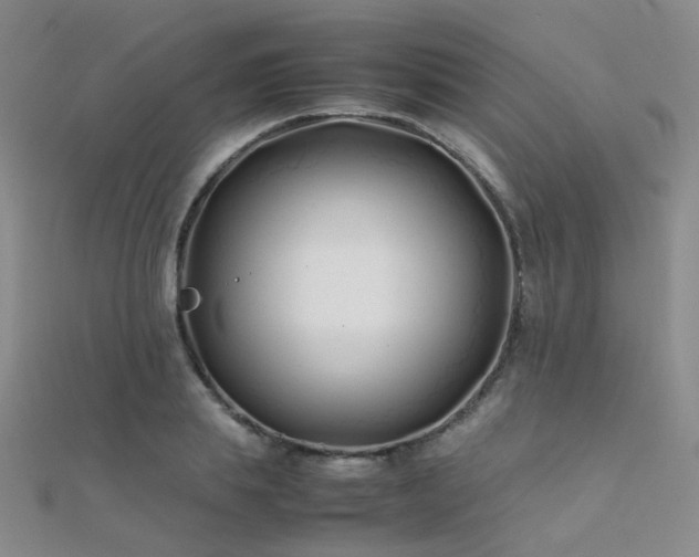 X0000112370839200908131515