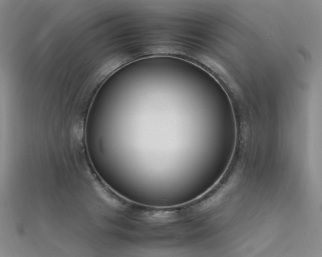 X0000112370841200908131515