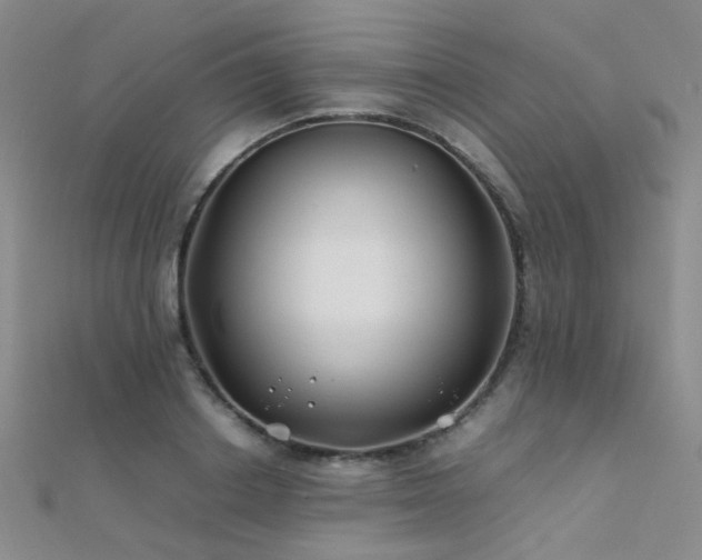 X0000112370842200908131516