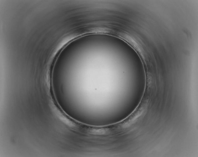 X0000112370843200908131516