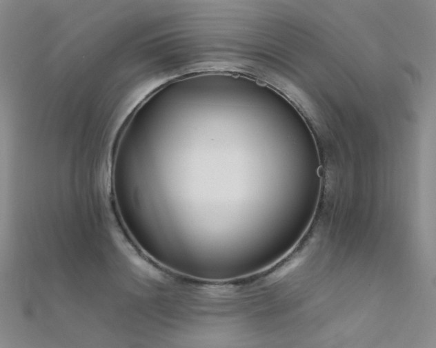X0000112370844200908131516