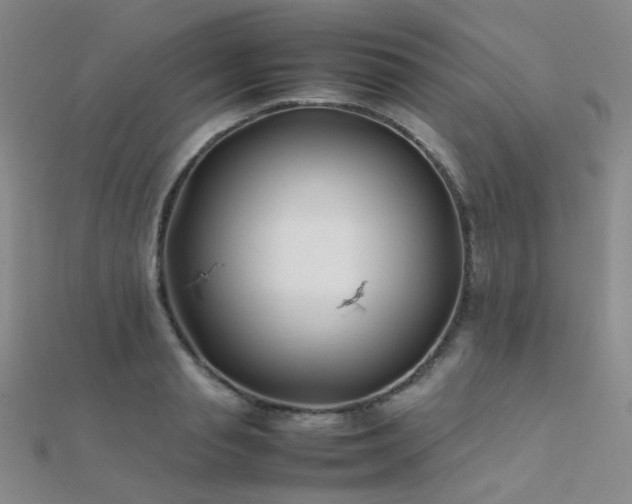 X0000112370845200908131516