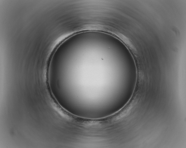 X0000112370846200908131516