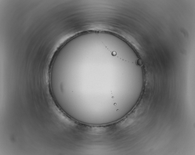X0000112370848200908131516