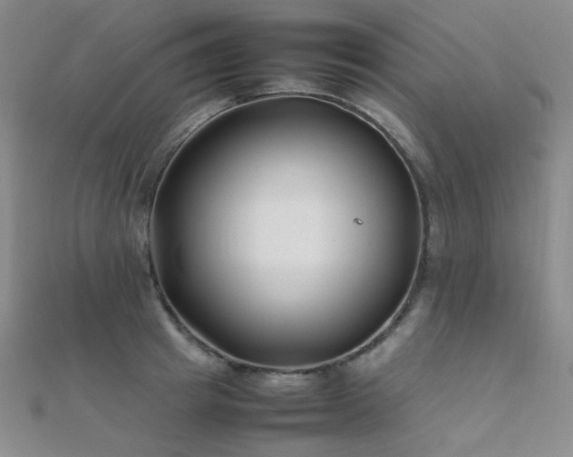 X0000112370849200908131516