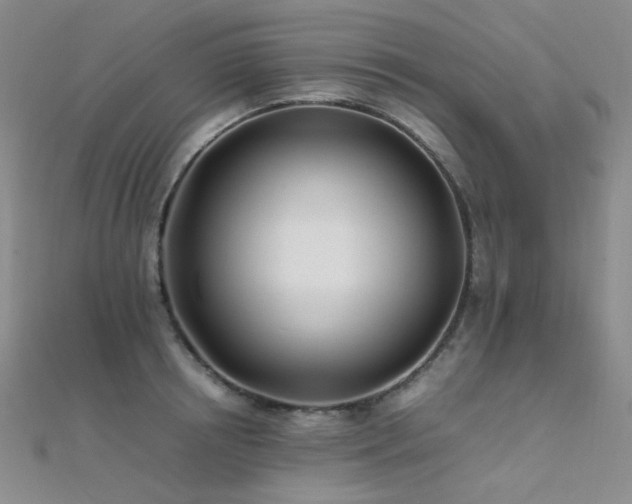 X0000112370850200908131516