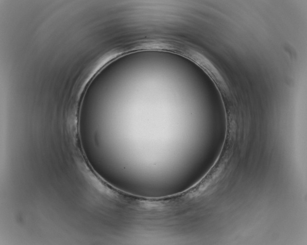 X0000112370852200908131516