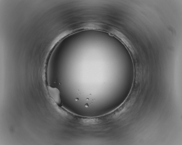 X0000112370853200908131516