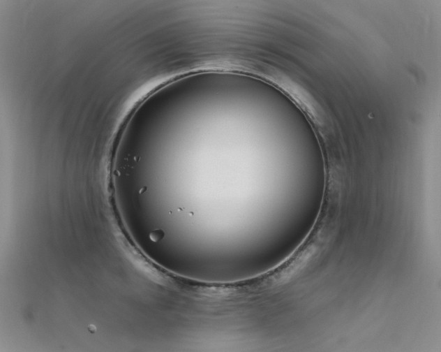 X0000112370854200908131516