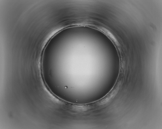X0000112370855200908131516
