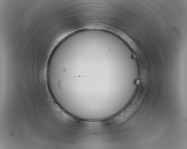 X0000112370856200908131516