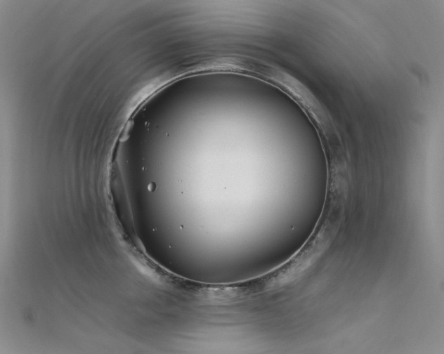 X0000112370858200908131516