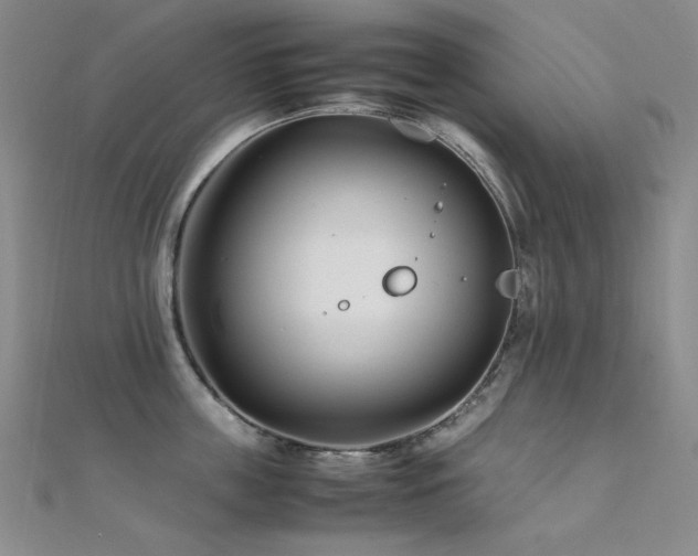 X0000112370859200908131516