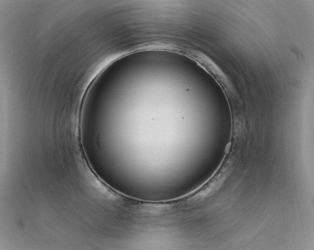 X0000112370860200908131516
