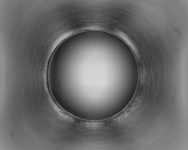 X0000112370861200908131516