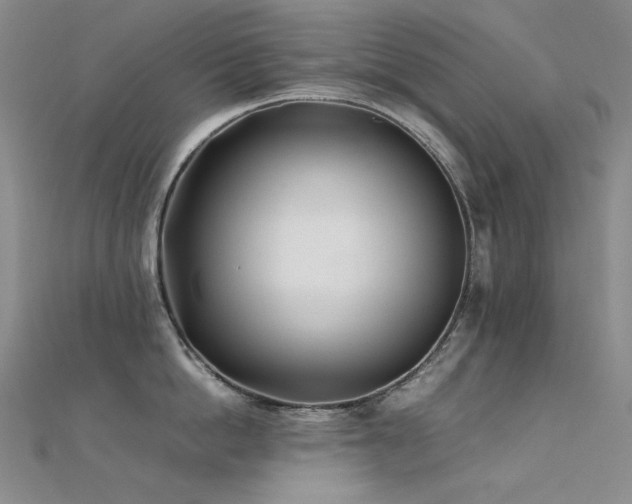 X0000112370862200908131516