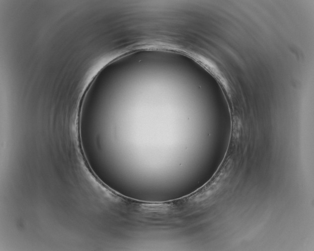X0000112370863200908131516