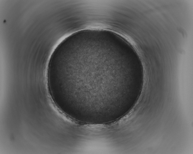 X0000112370864200908131516