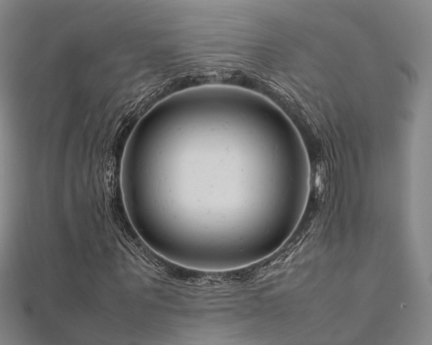 X0000112370867200908131515