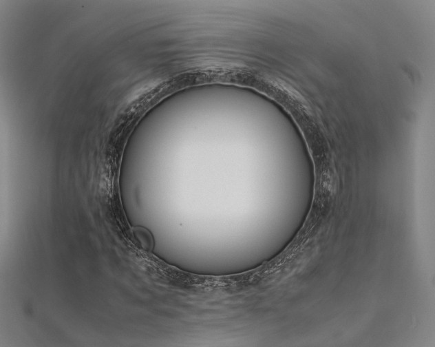 X0000112370869200908131515