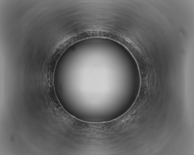 X0000112370870200908131515