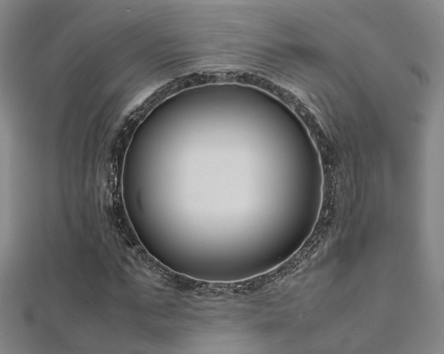 X0000112370871200908131515