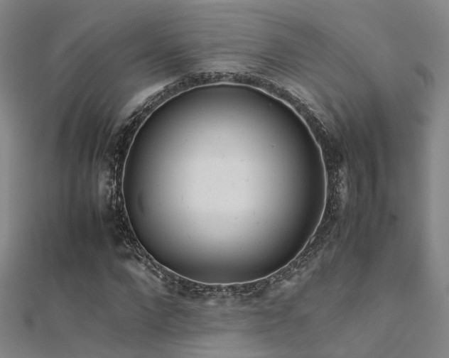 X0000112370872200908131515