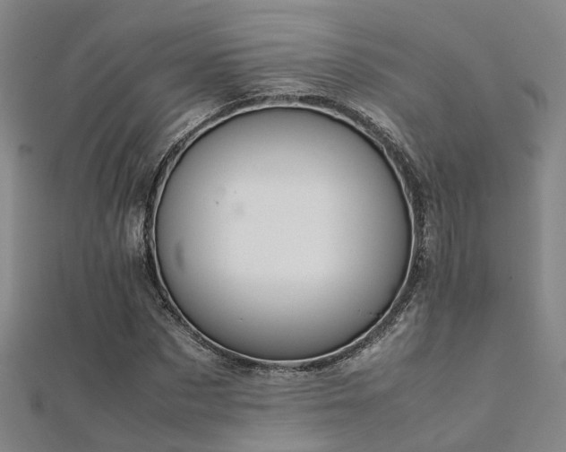 X0000112370873200908131515