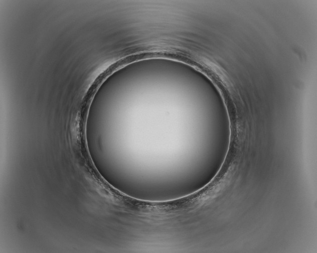 X0000112370875200908131515