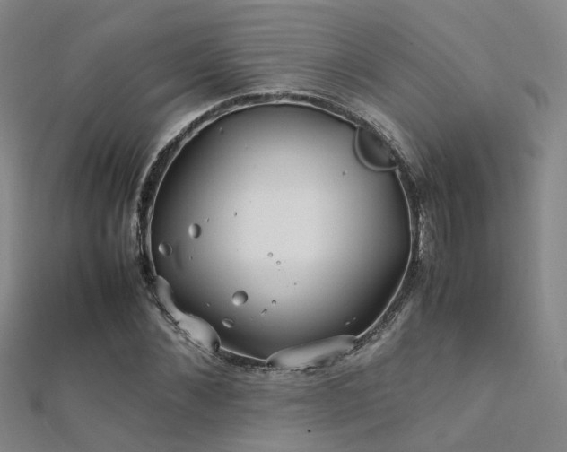 X0000112370876200908131515