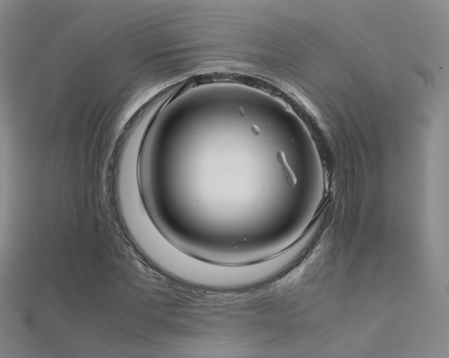 X0000112370877200908131515