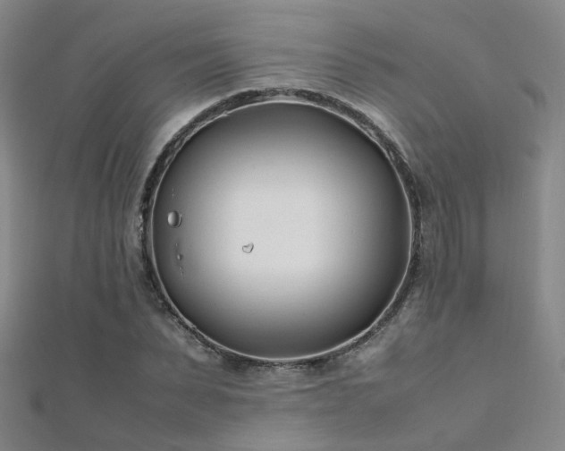 X0000112370879200908131515