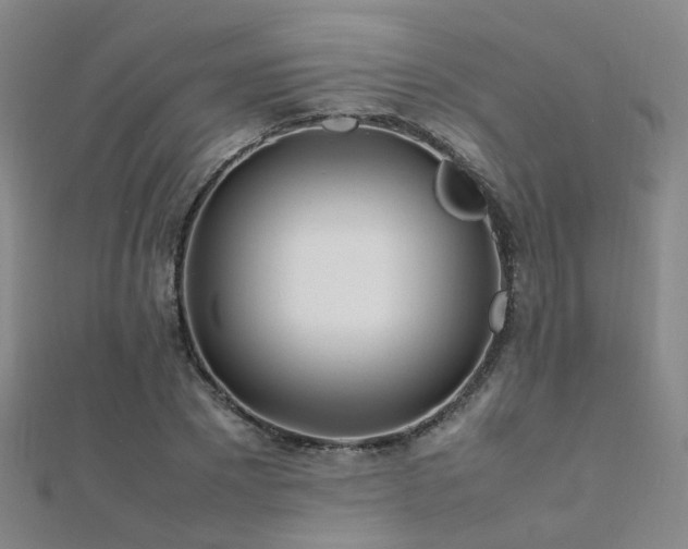 X0000112370881200908131515