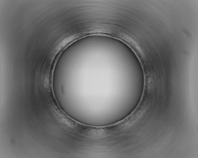 X0000112370882200908131515