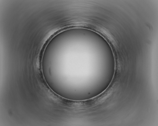 X0000112370883200908131515