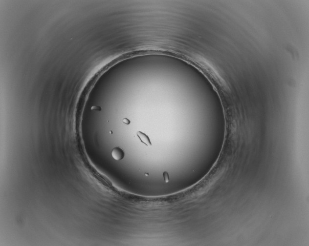 X0000112370884200908131515