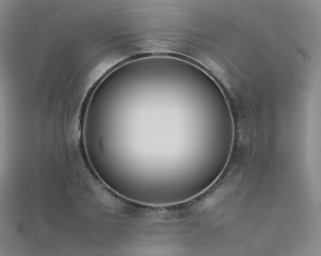 X0000112370885200908131515