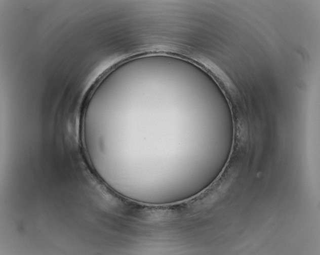 X0000112370886200908131515