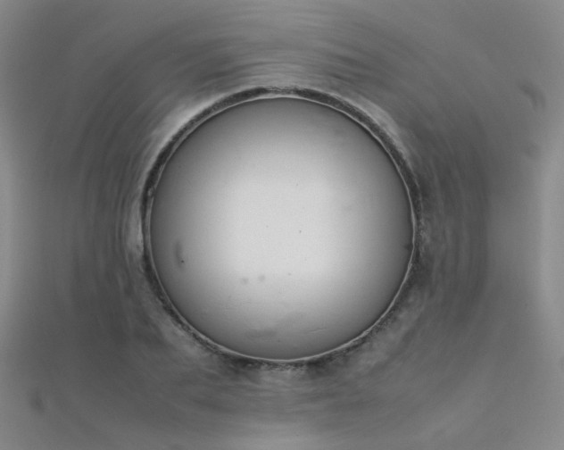 X0000112370887200908131515