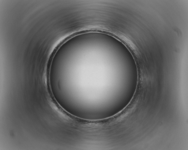 X0000112370888200908131515