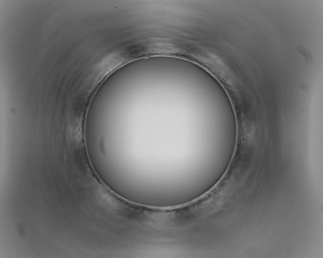 X0000112370889200908131515