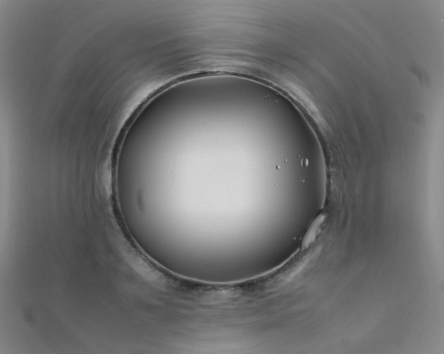 X0000112370891200908131515
