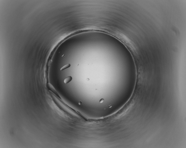 X0000112370892200908131515